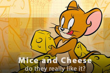 Do Mice Really Like Cheese?