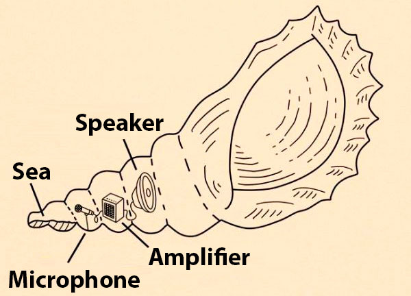 The sound inside the seashell (joke)