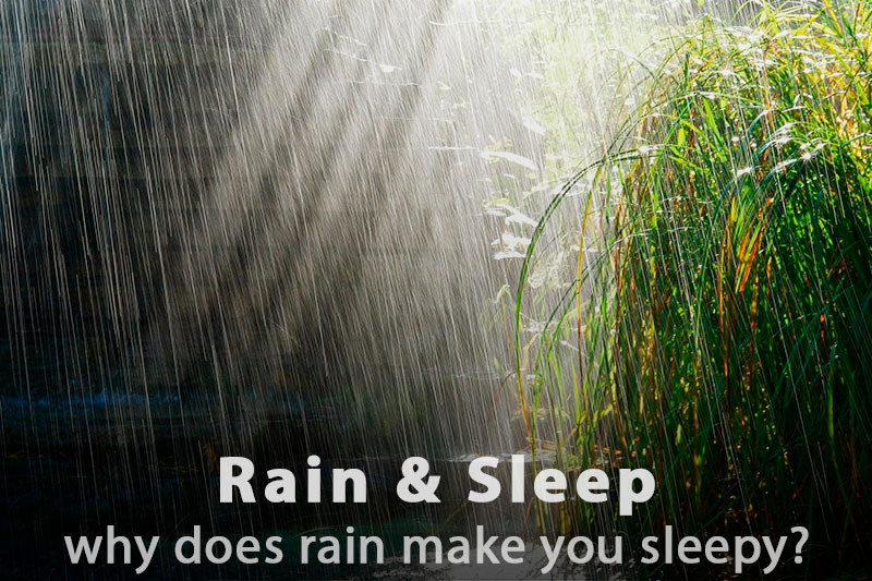 Why Does Rain Make You Sleepy?