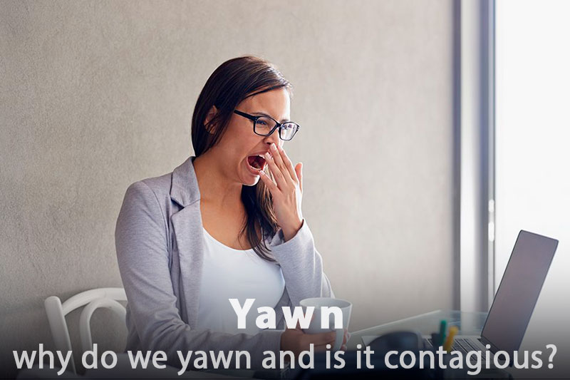 Why Do We Yawn and Why Is It Contagious?