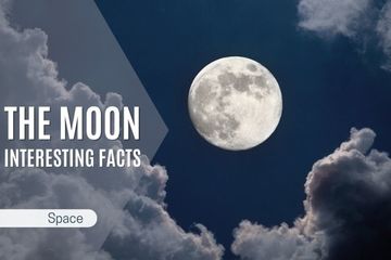 Interesting Facts About the Moon: Explore Amazing Science