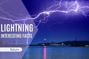 Interesting Facts About Lightning and Thunder