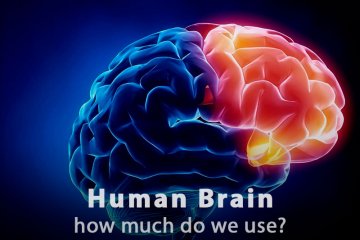 What Percentage of Our Brain Do We Use?