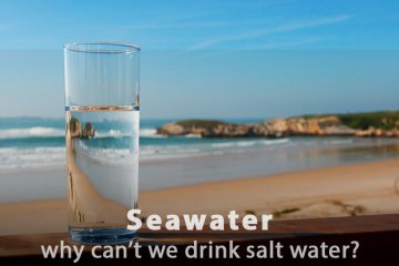 Why Can't People Drink Seawater?