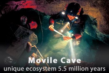 Movile Cave - Unique Ecosystem 5.5 Million Years Old