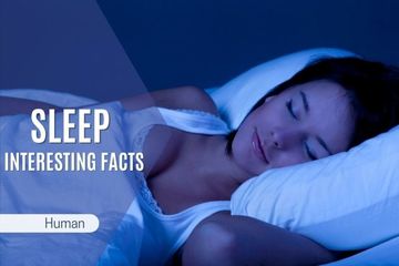 Interesting Facts About Sleep and Dreams: Its Role and Impact