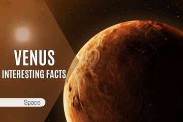 Interesting Facts About Venus - Amazing Planet